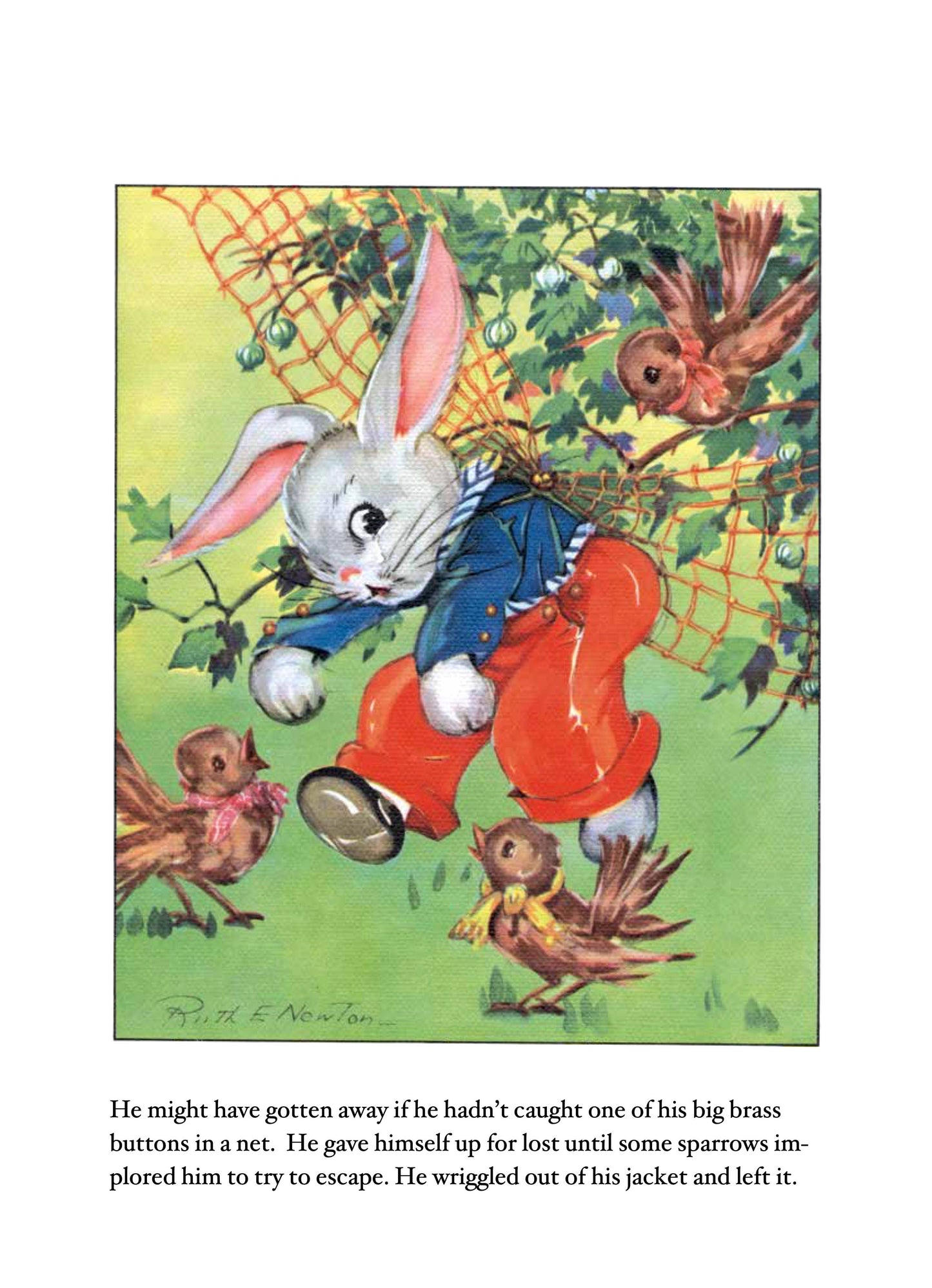 Peter Rabbit- Children's Picture Book-Vintage