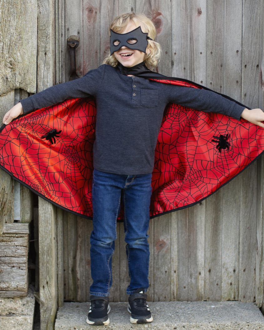 Spider Bat Reversible Cape and Mask