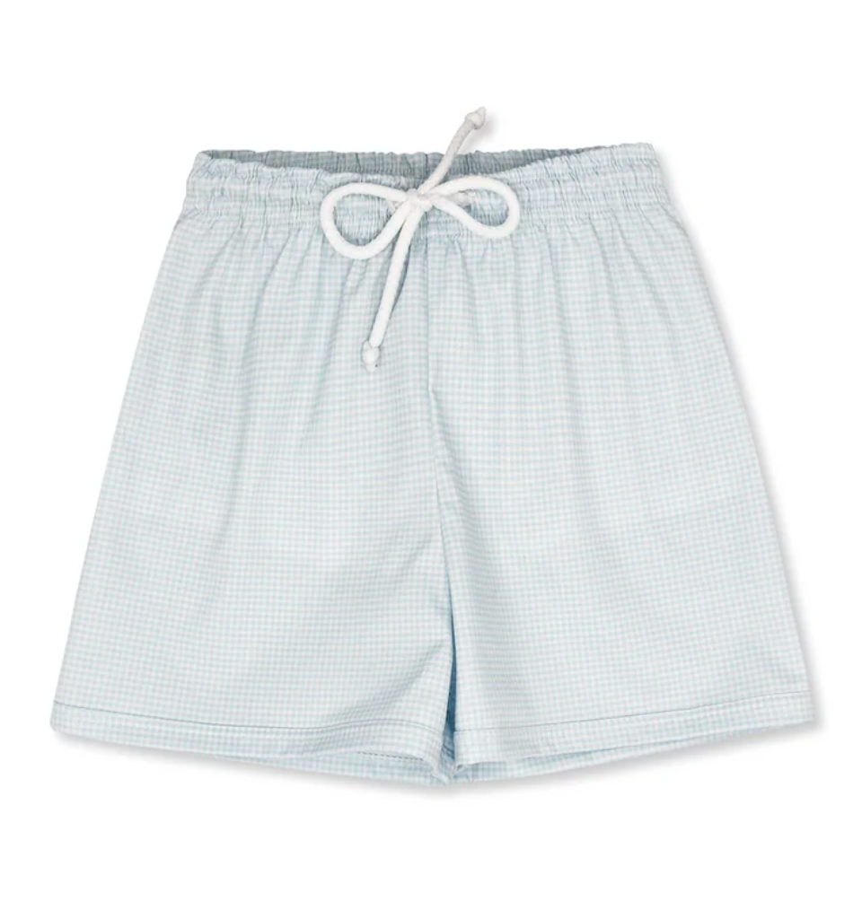 Barnes Bathing Suit - Baby Blue Minigingham