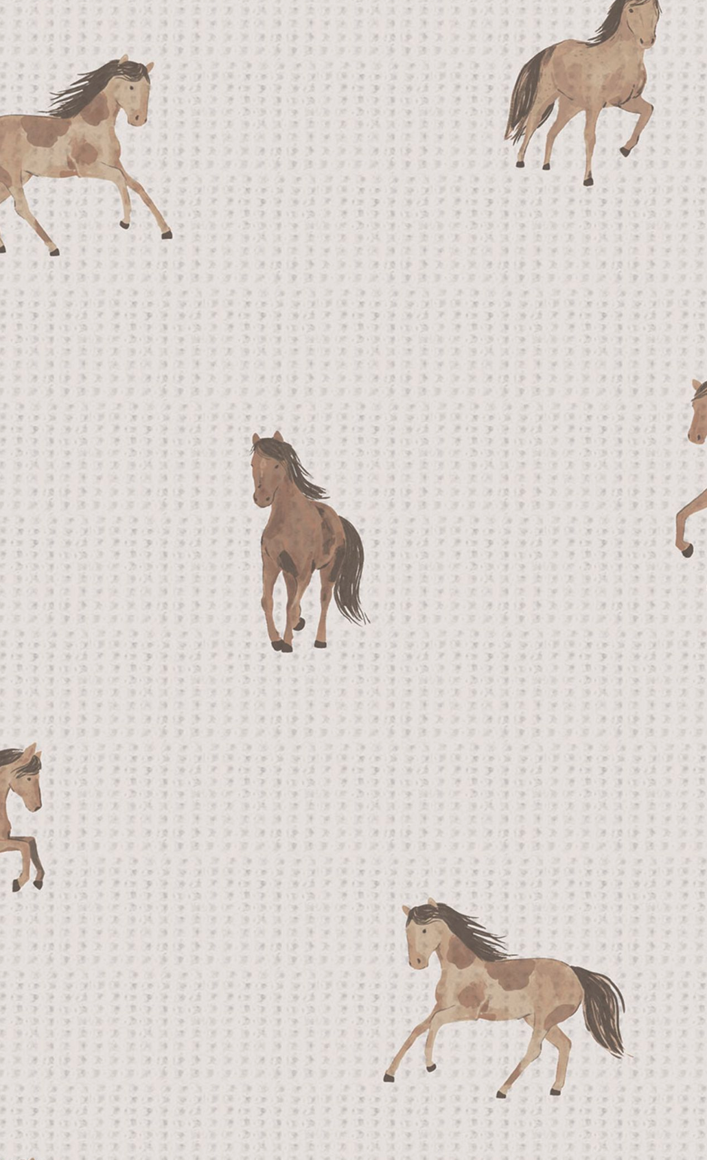 Mini Horses - 2 Way Zipper Footie