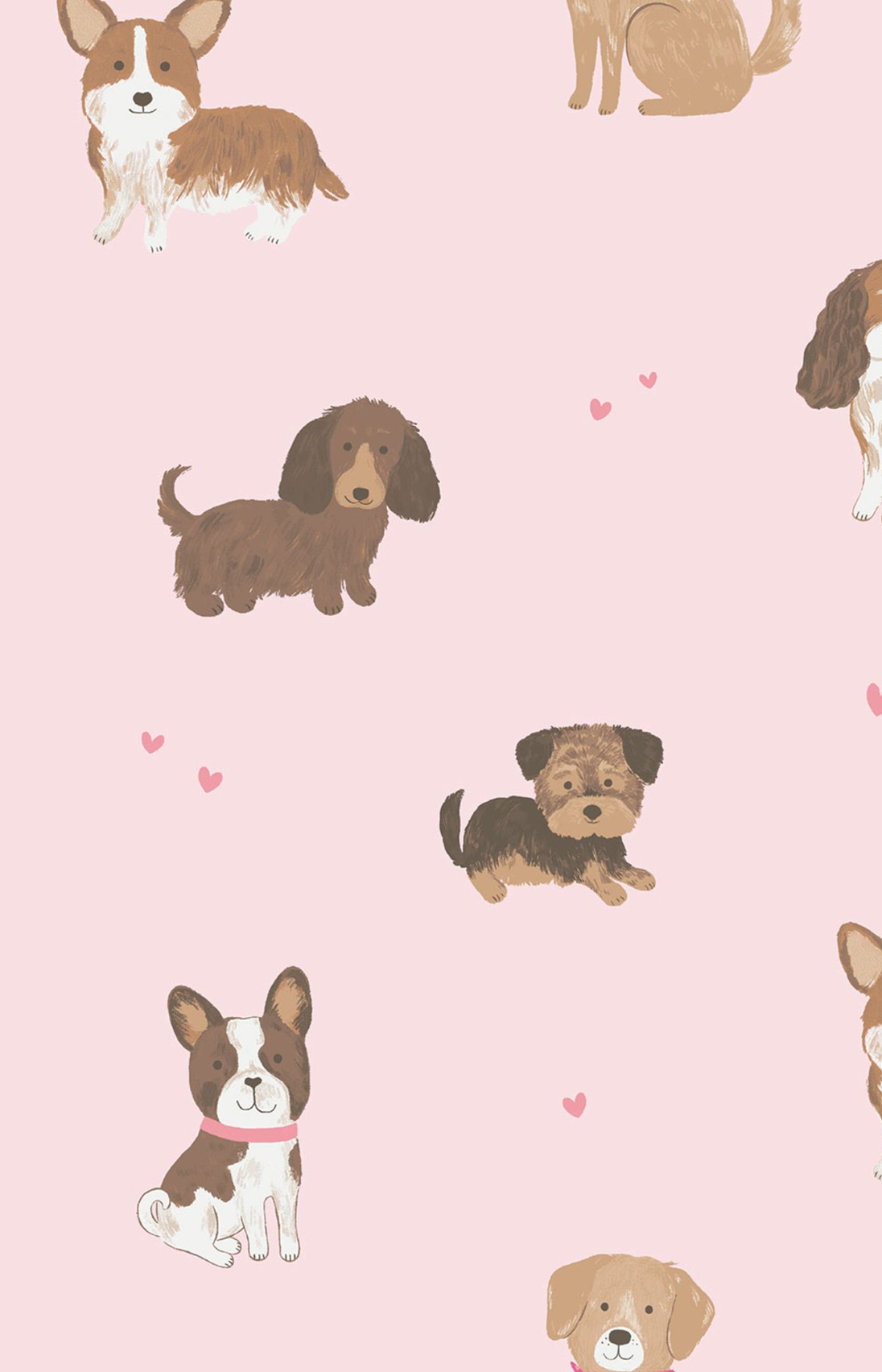 Best Friend Dogs Ruffle Sweatshirt + Bamboo Legging