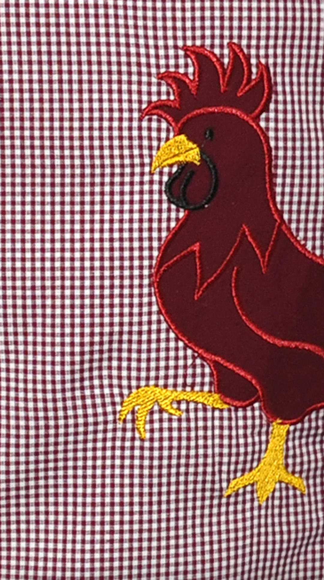 Gamecock Black and Garnet Shortall