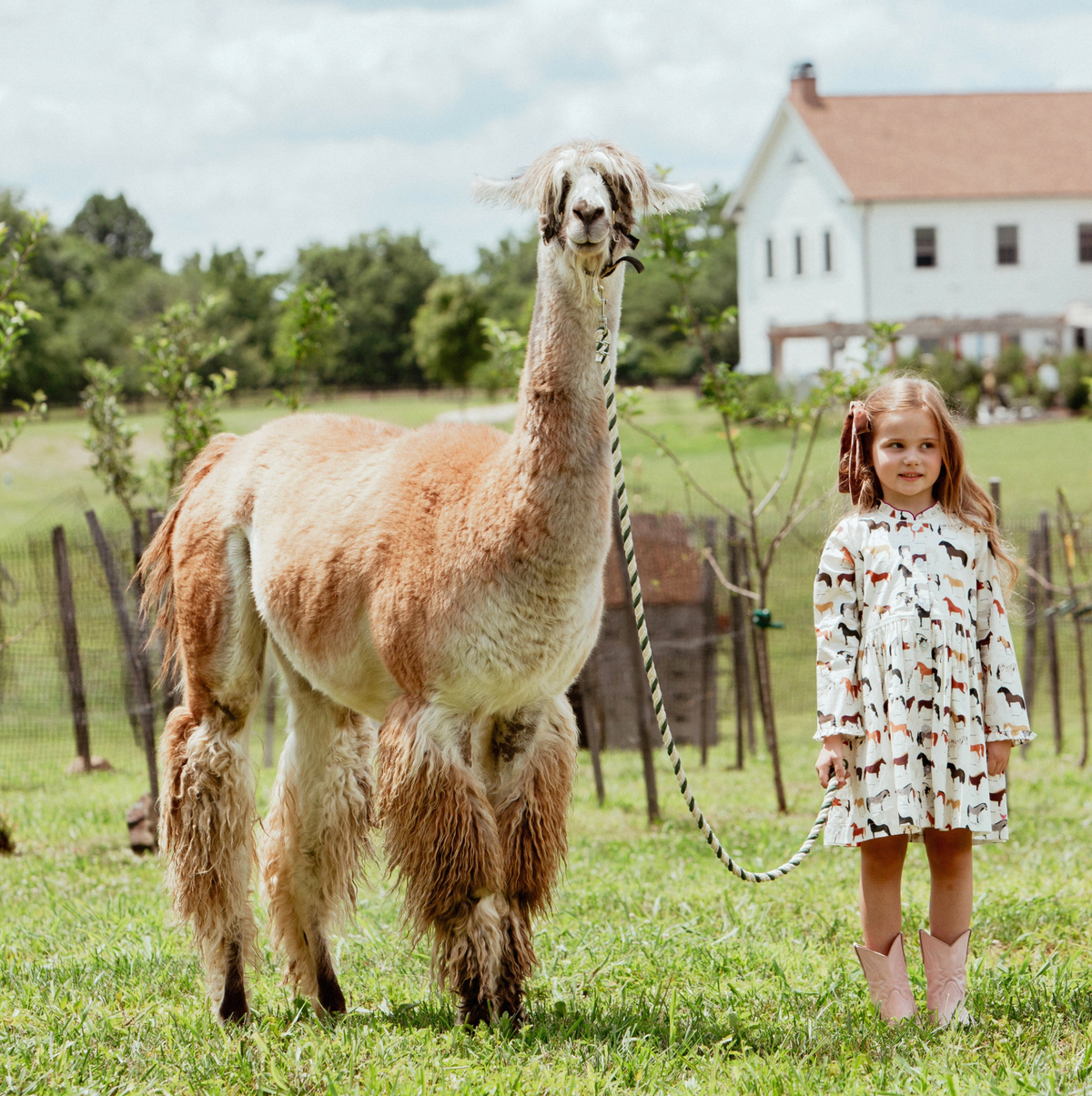 *PRE-ORDER* Girls Autumn Dress- Horse Breeds