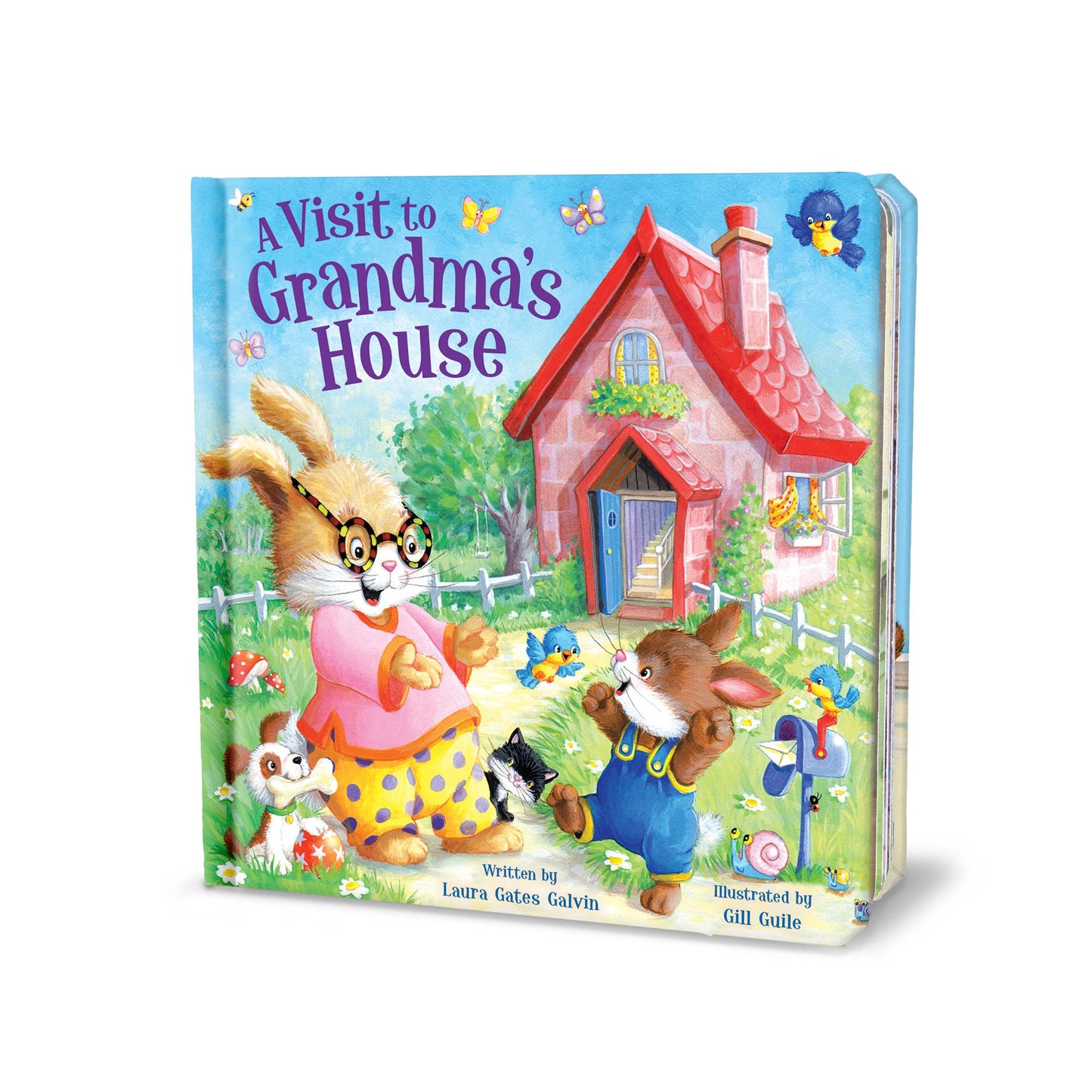 A Visit to Grandma's House Book