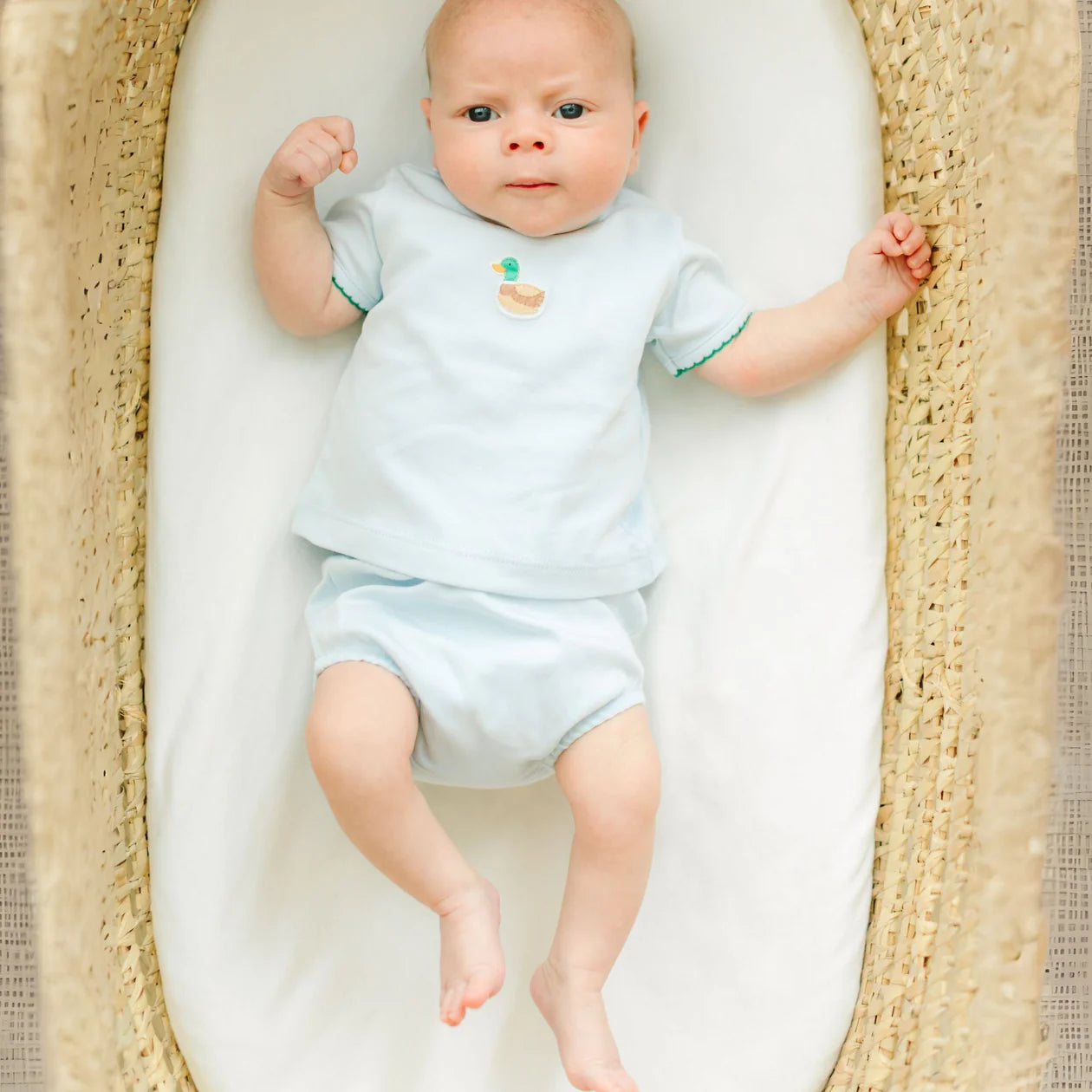 Mallard Embroidered Diaper Cover Set - Light Blue