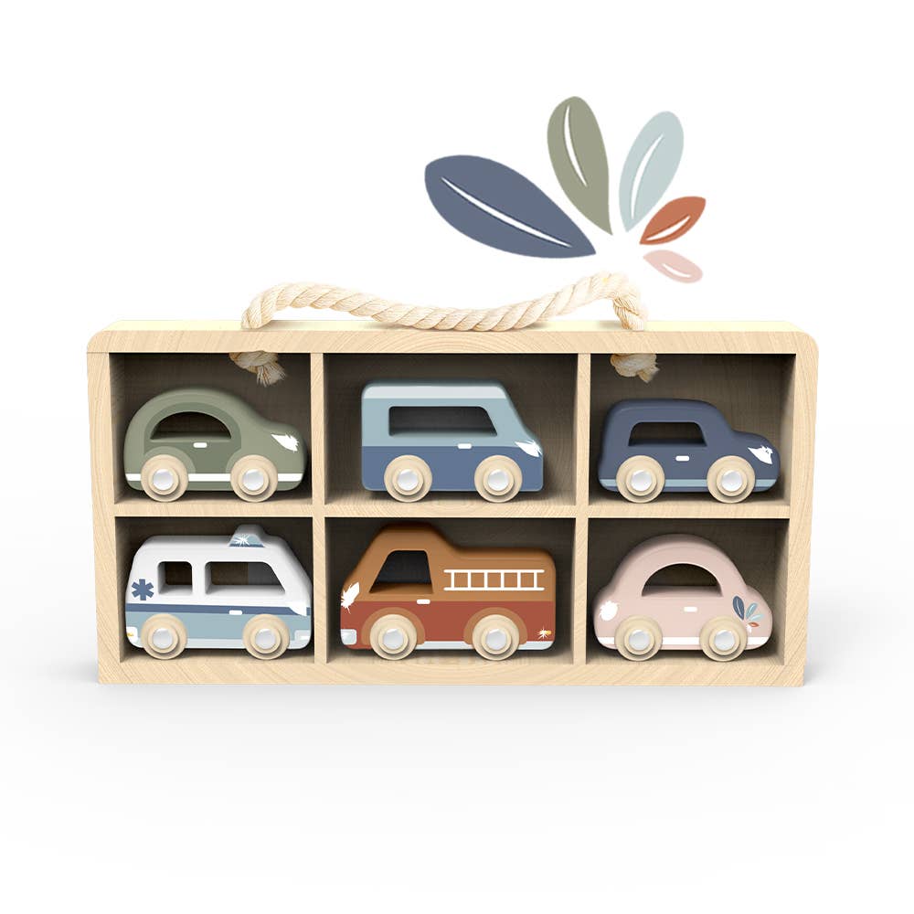 Car Display Case with 6 Vehicles