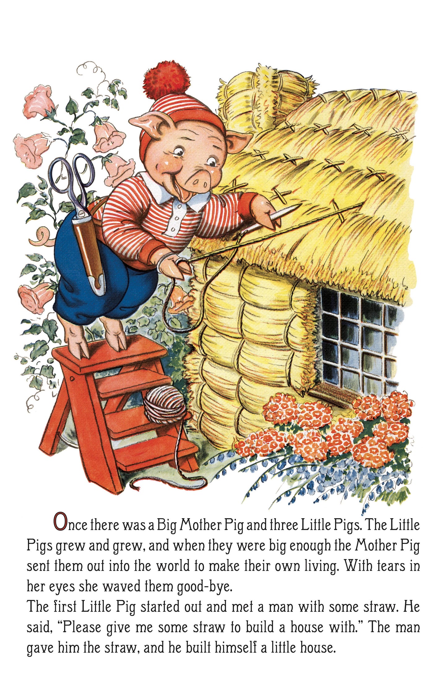 The Three Little Pigs Children's Shape Book