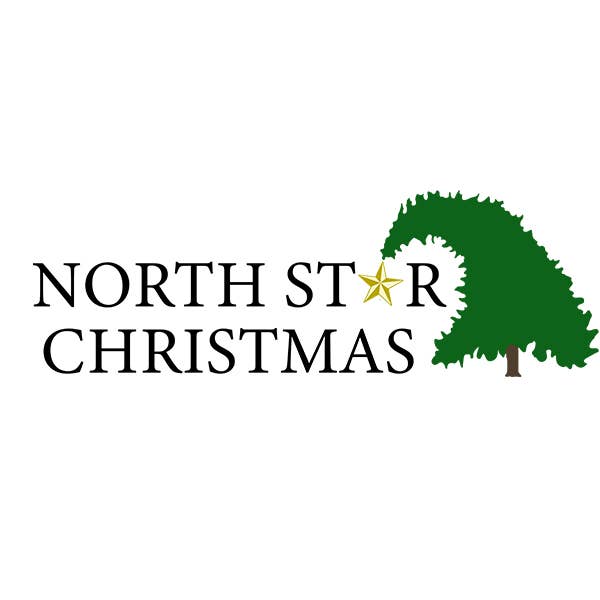 North Star Christmas | High Heels Glass Ornament
