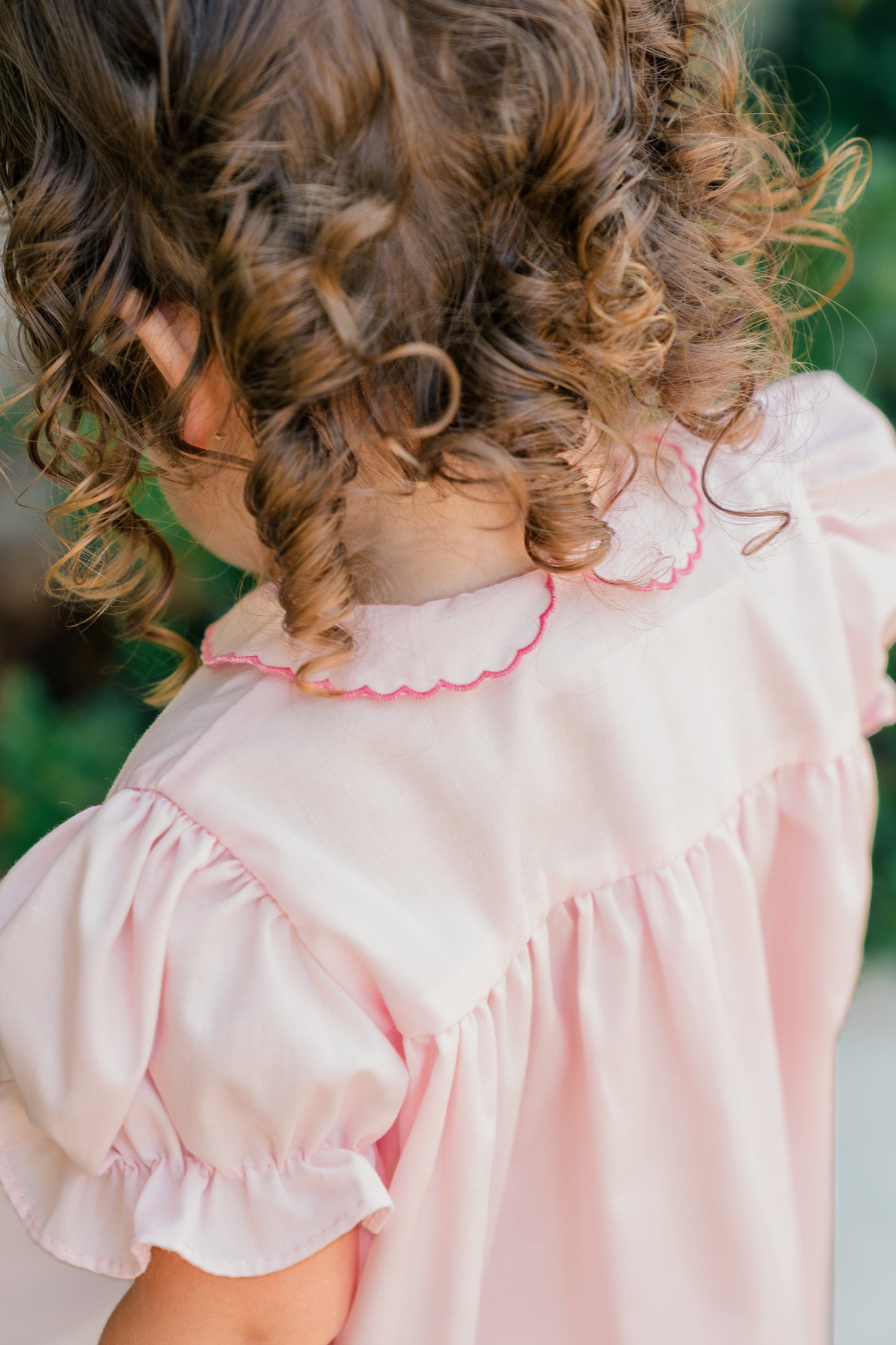 Begonia Ingrid Bubble