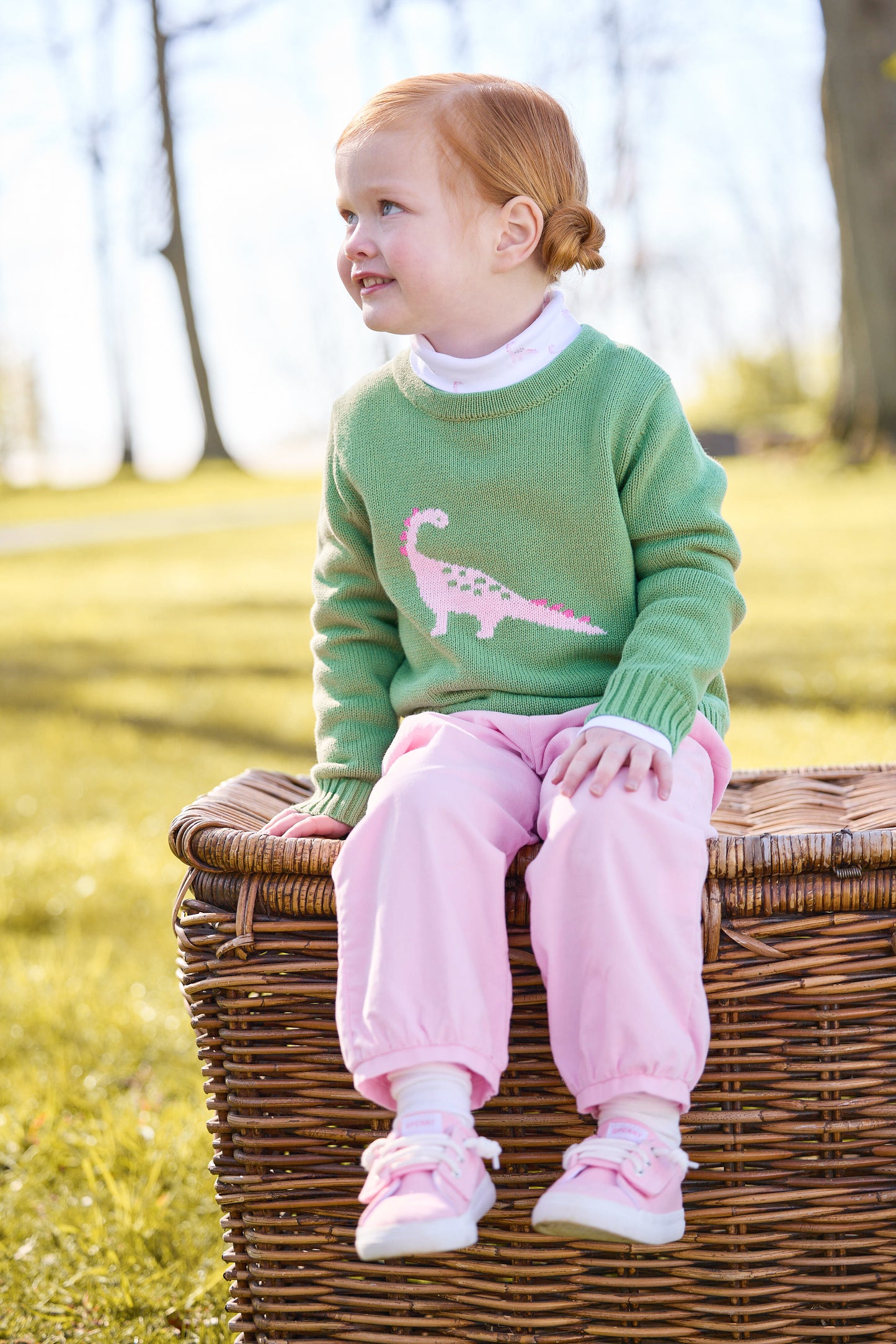 Intarsia Sweater - Pink Dinosaur