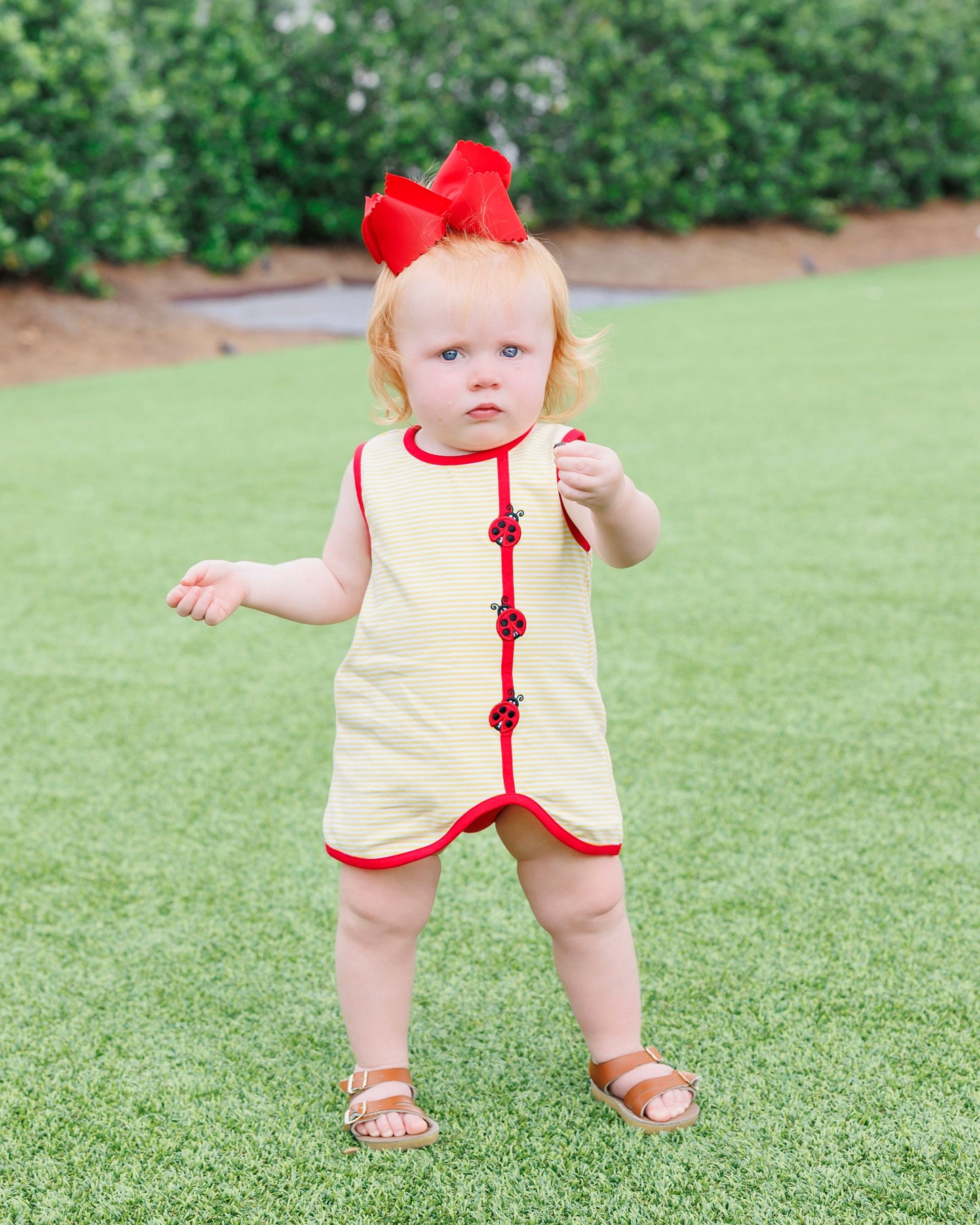 *PRE-ORDER* Lovely Ladybugs Diaper Set