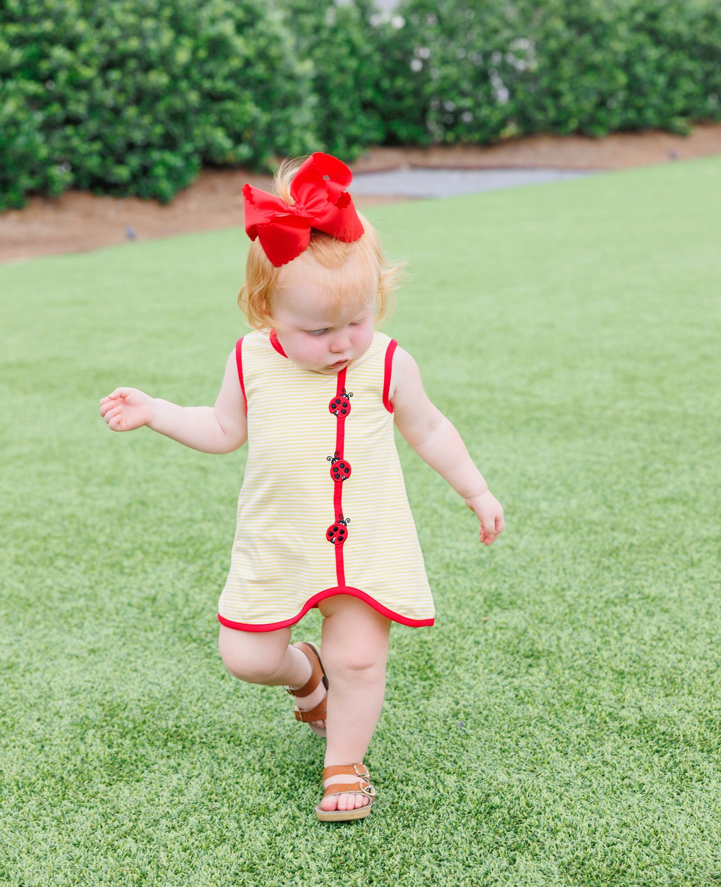 *PRE-ORDER* Lovely Ladybugs Diaper Set