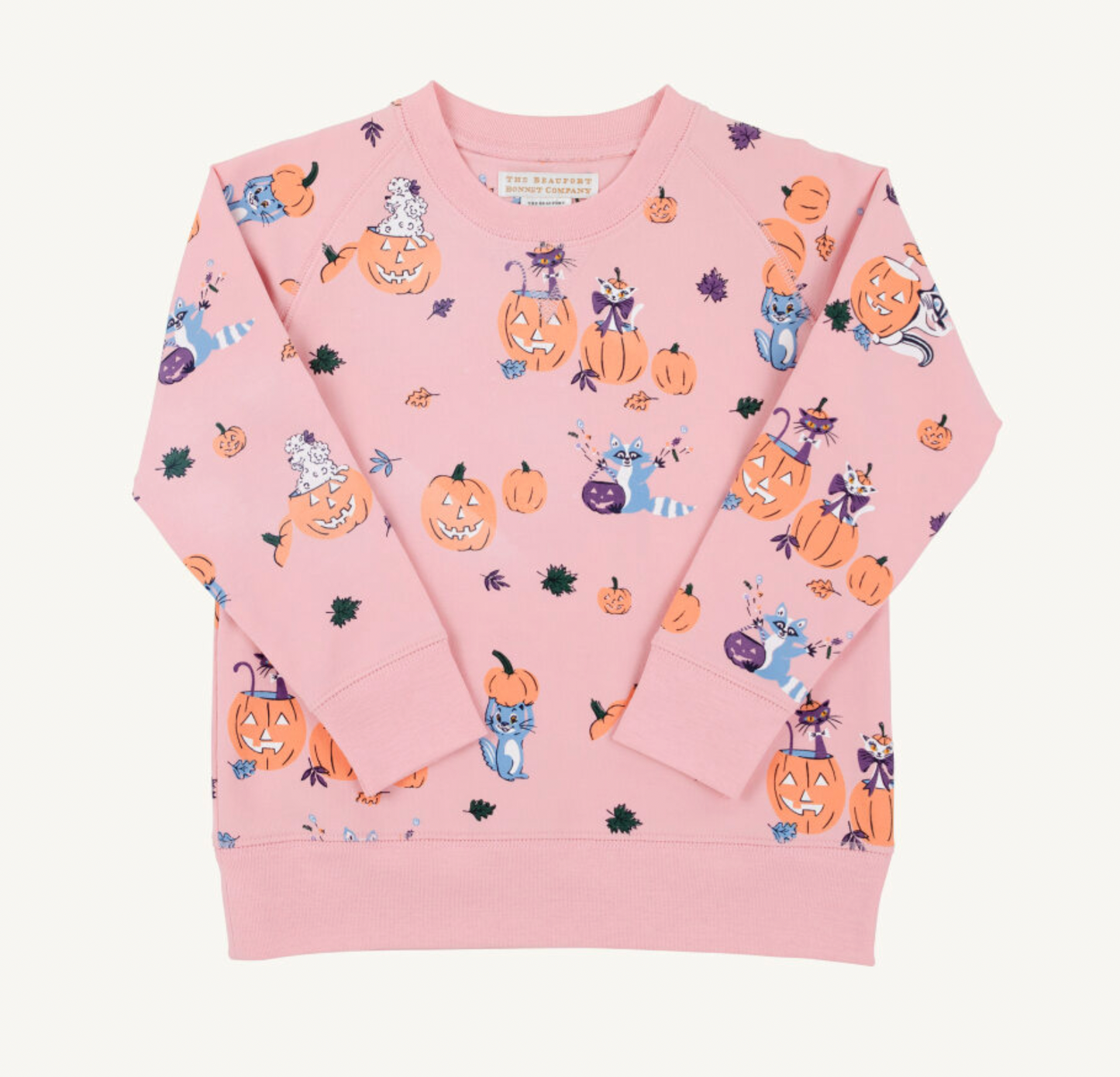 Cassidy Comfy Crewneck-Girls- French Terry- Candy and Critters