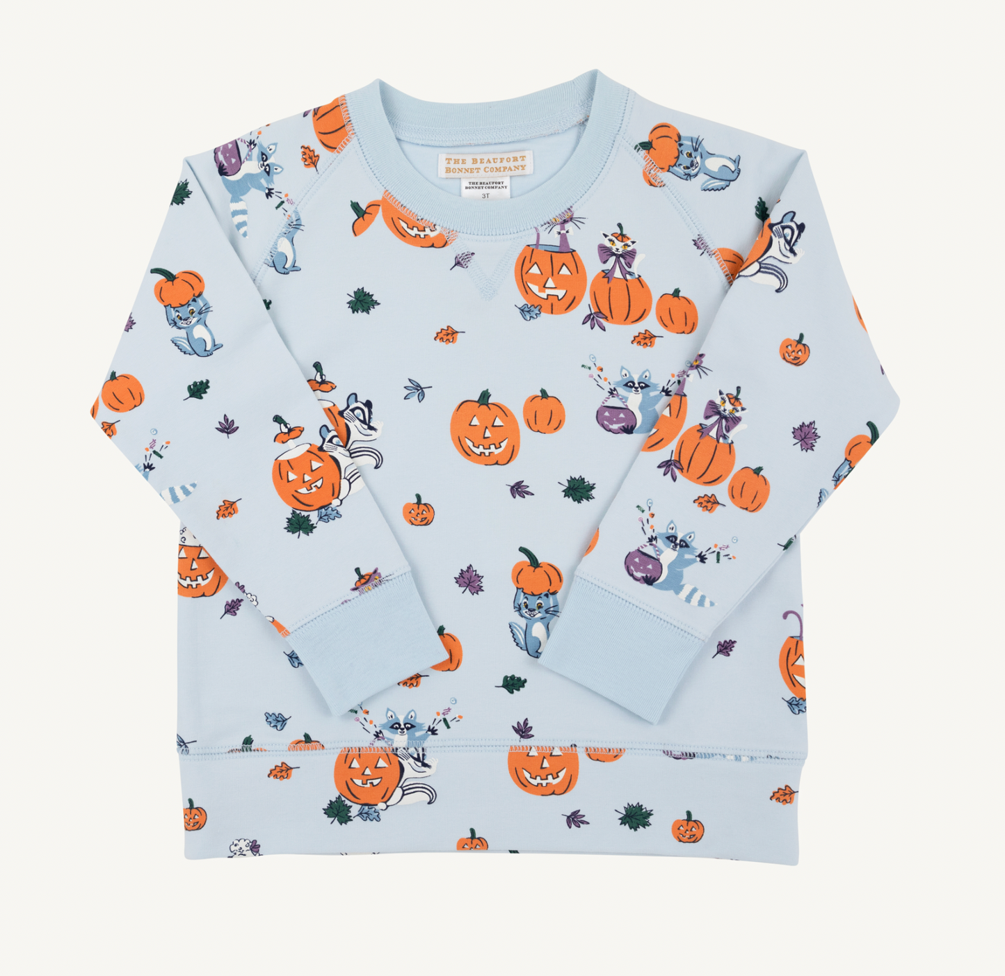 Cassidy Comfy Crewneck- Boys- French Terry- Candy and Critters (Buckhead Blue)