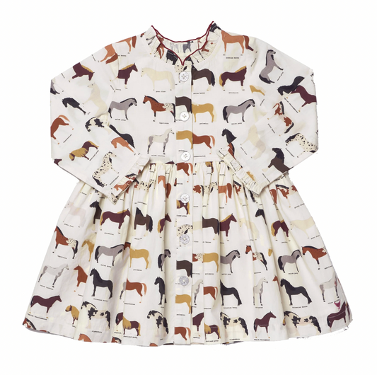*PRE-ORDER* Girls Autumn Dress- Horse Breeds