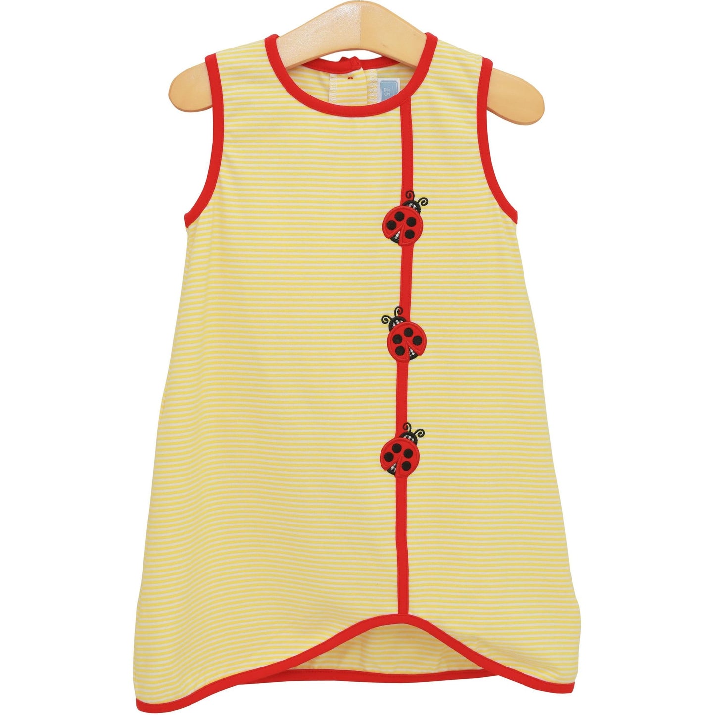 *PRE-ORDER* Lovely Ladybugs Dress