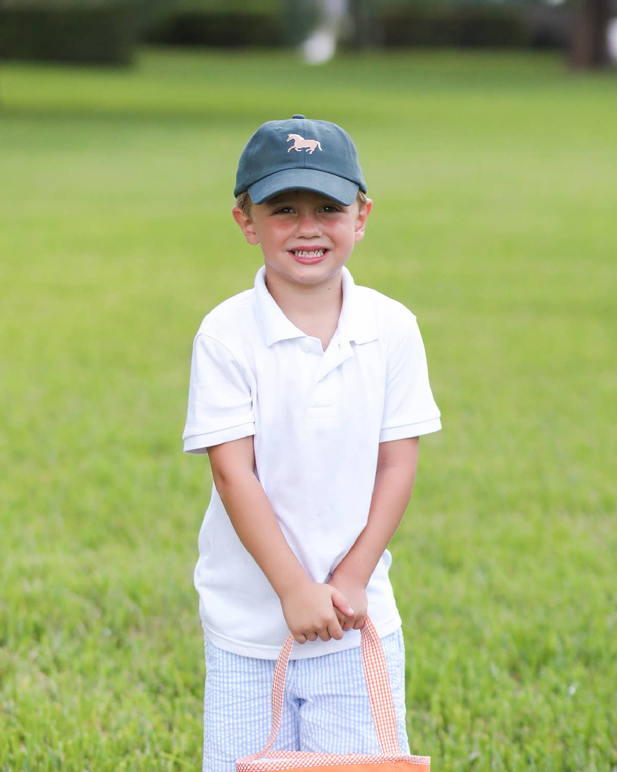 Horse Baseball Hat