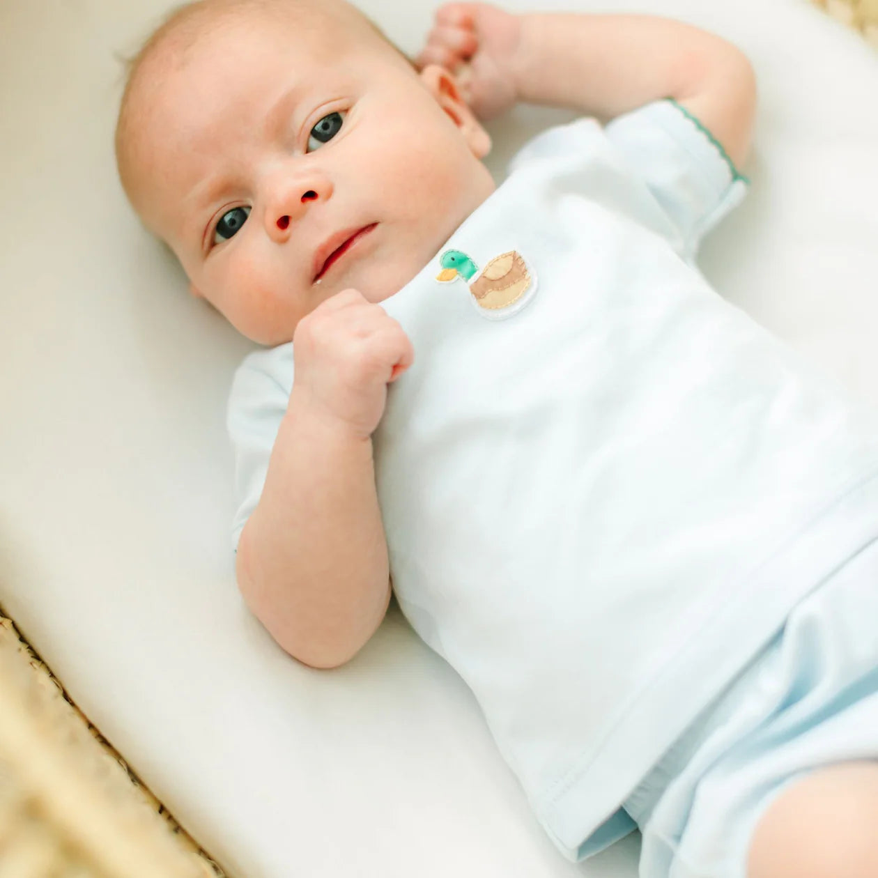 Mallard Embroidered Diaper Cover Set - Light Blue
